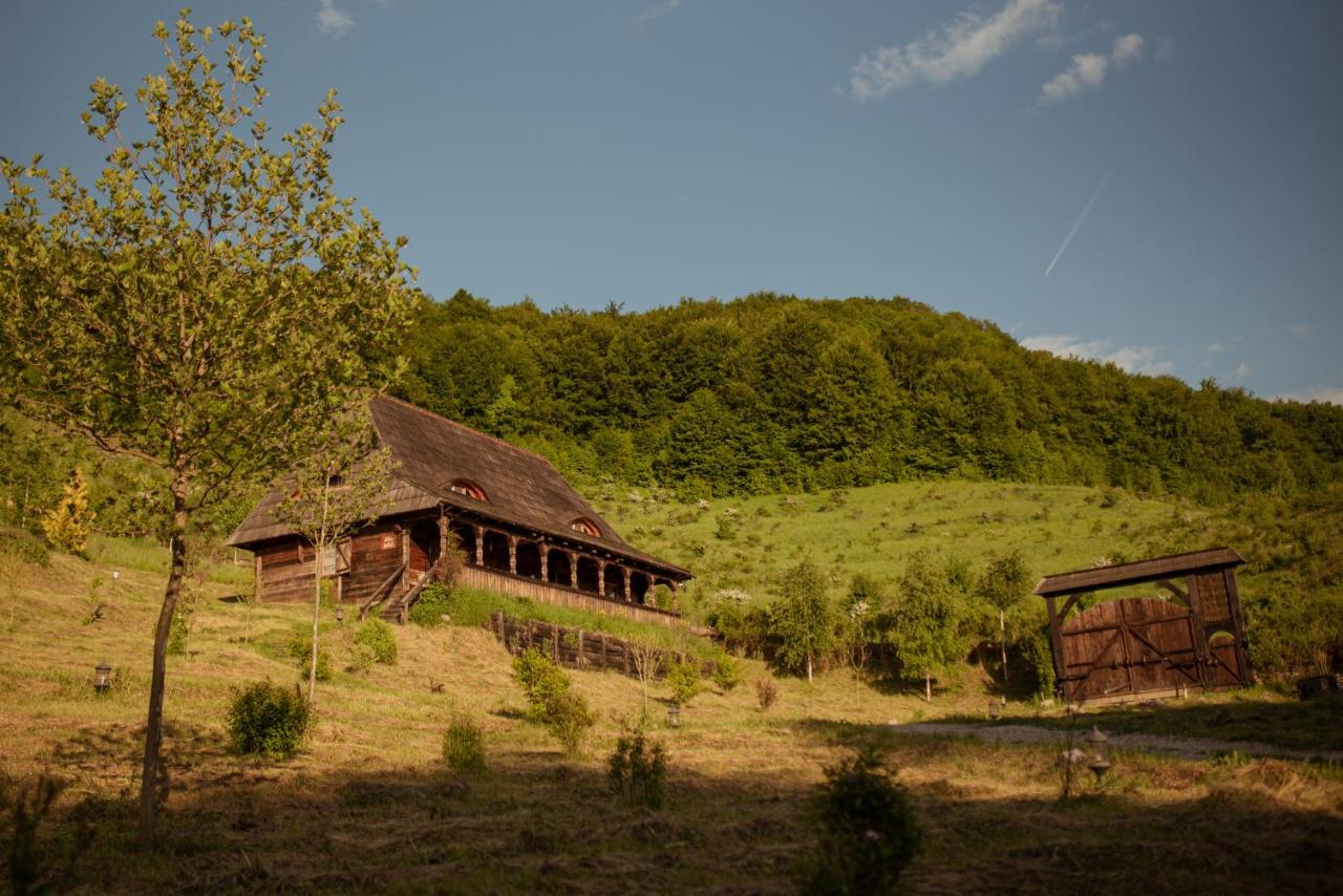 Raven'S Nest - The Hidden Village, Transylvania - Romania Sub Piatra Екстер'єр фото