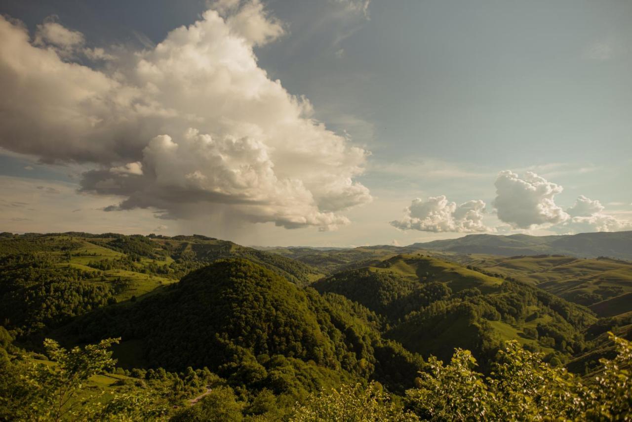 Raven'S Nest - The Hidden Village, Transylvania - Romania Sub Piatra Екстер'єр фото