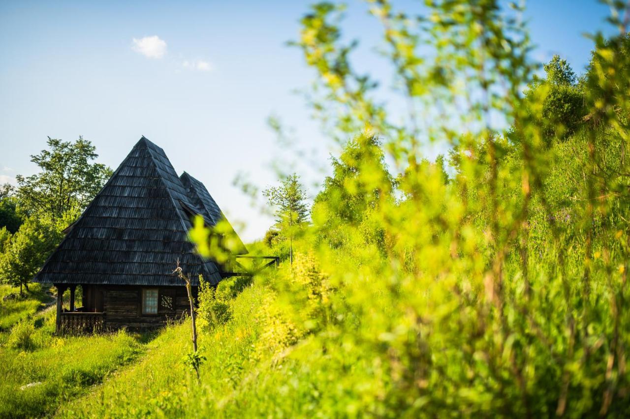 Raven'S Nest - The Hidden Village, Transylvania - Romania Sub Piatra Екстер'єр фото