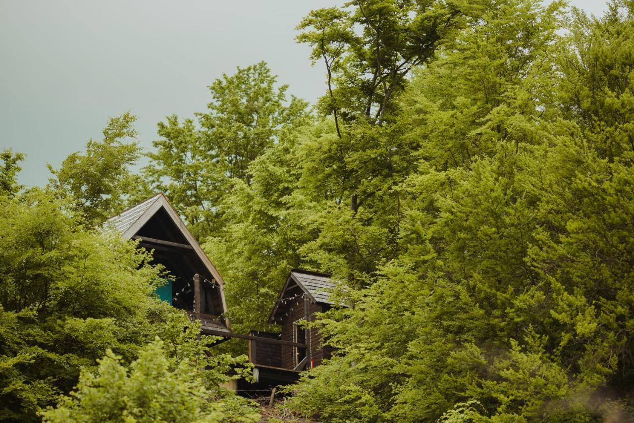 Raven'S Nest - The Hidden Village, Transylvania - Romania Sub Piatra Екстер'єр фото